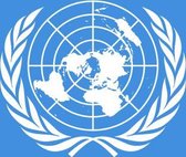 Vlag Verenigde Naties 100x150cm - Glanspoly
