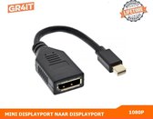 Mini DisplayPort naar DisplayPort adapter - Zwart - 1080P - Thunderbolt