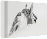 Canvas Schilderij Paard - Wit - Dier - 120x80 cm - Wanddecoratie