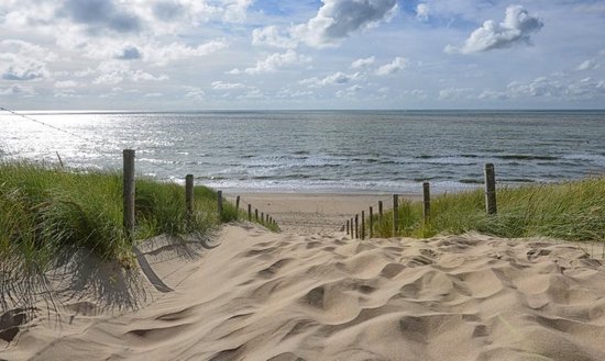 mer plage beach mer du Nord Côte Baltique Sable Mer Papier peint toile-Dunes 590 S 