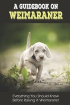 A Guidebook On Weimaraner: Everything You Should Know Before Raising A Weimaraner