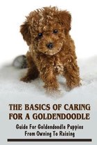 The Basics Of Caring For A Goldendoodle: Guide For Goldendoodle Puppies From Owning To Raising