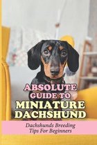 Absolute Guide To Miniature Dachshund: Dachshunds Breeding Tips For Beginners