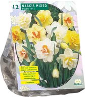 Plantenwinkel Narcis Dubbel Mix bloembollen per 12 stuks