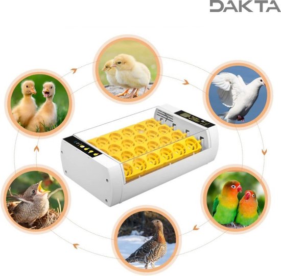 Dakta® Incubator eieren | 24 stuks | Automatisch | Mini broedmachine - Dakta®