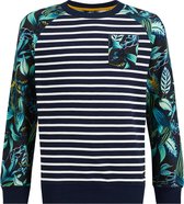 WE Fashion Jongens sweater met dessin