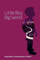 Little Boy Big World