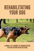 Rehabilitating Your Dog: A Whole Life Journey Of Rehabilitation System For Dog-Reactive-Dogs