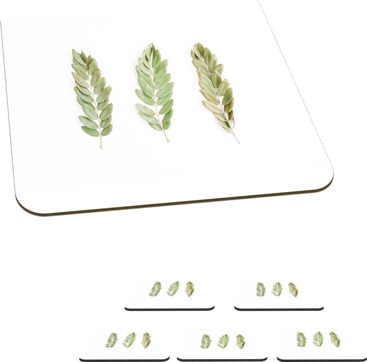 Onderzetters voor glazen - Tropisch - Bladeren - Wit - 10x10 cm - Glasonderzetters - 6 stuks