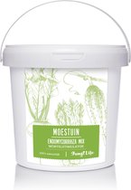 Mycorrhiza Mix Moestuin 500Gr - FungiLife Endomycorrhiza