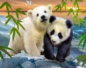 Denza - Diamond painting Panda familie 40 x 50 cm volledige bedrukking ronde steentjes direct leverbaar - panda - verliefd - natuur - zee - bamboe