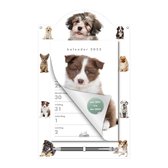 Weekscheurkalender 2022 - Honden (34cm x 21cm)