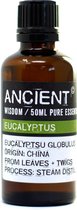 Etherische olie Eucalyptus - Essentiële olie - 50ml - 100% natuurlijk