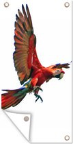 Affiche clôture Ara - Vogel - Portrait - 100x200 cm - Toile de jardin