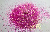 Glitters | Pink Diamond 25gr. | Hobby-glitters | Nail & Body-art | Epoxy-art | Slijm-projecten | Decoratie