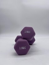 Padisport - Dumbell 2 x 2,5 kg - halter - gewichten set halters - gewichten - Gewichten - dumbells - halters - gewichtjes