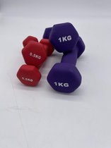 Padisport - Dumbell Neopreen Set- 0,5 - 1 - Gewichten Set Halters - Mix Gewichten 1 Kg - Dumbellset - Halterset - Gewichtjes Set 1 Gewichten Set 1 Kg