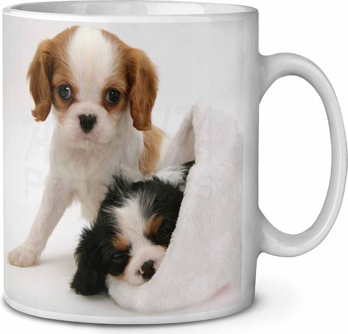 Cavalier King charles  Koffie-thee mok