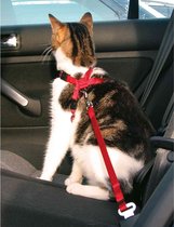Kattentuigje voor in de auto | Kattenharnas rood