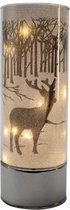 kerstvaas led 9 x 25 cm glas transparant/zilver