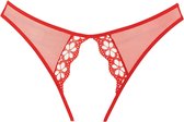 Adore Mirabelle Panty - Red - Maat O/S - Lingerie For Her