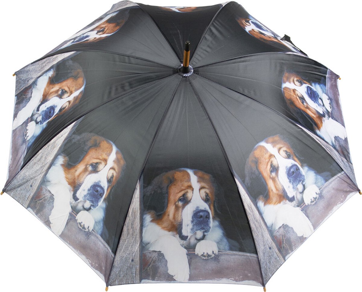 Paraplu st. bernard