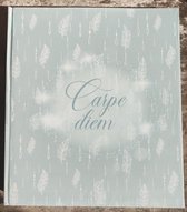 Jumbo fotoalbum plakboek XL 29 x 33 cm- Carpe Diem - trendy design met veertjes