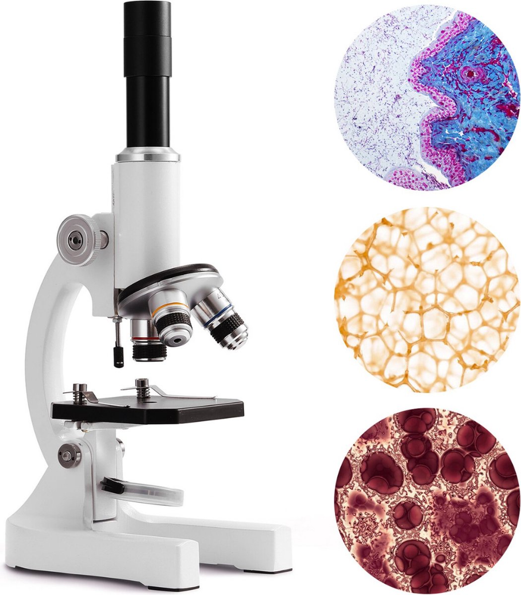 PiProducts Optische Microscoop 64X - 2400X Zoom - Onderwijs - Biologie - Wetenschap - Microscopen - Monoculair - Met Accessoires