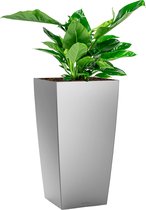 Philodendron Imperial Green in watergevende Cubico zilver | Philodendron