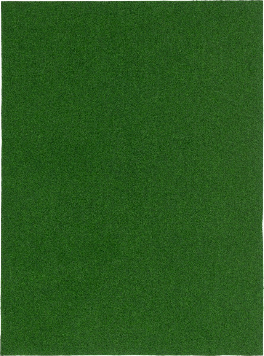 Snapstyle Vloerkleed Kunstmatige Grasmat met Puistjes Kingston
