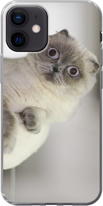 Coque iPhone 12 - Chat - Animal - Salon - Coque de téléphone en Siliconen |  bol.