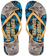 teenslippers Kat rubber blauw maat 37-39