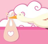 Geboortetegel op maat meisje met vliegende ooievaar 15 x 15 cm - kraamcadeau - geboorte cadeau - baby geboorte cadeau