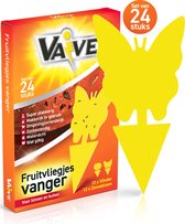 VAIVE Fruitvliegjes Vanger - Rouwvliegjes Bestrijden - Fruitvliegval - Insectenvanger val - Vliegenvanger