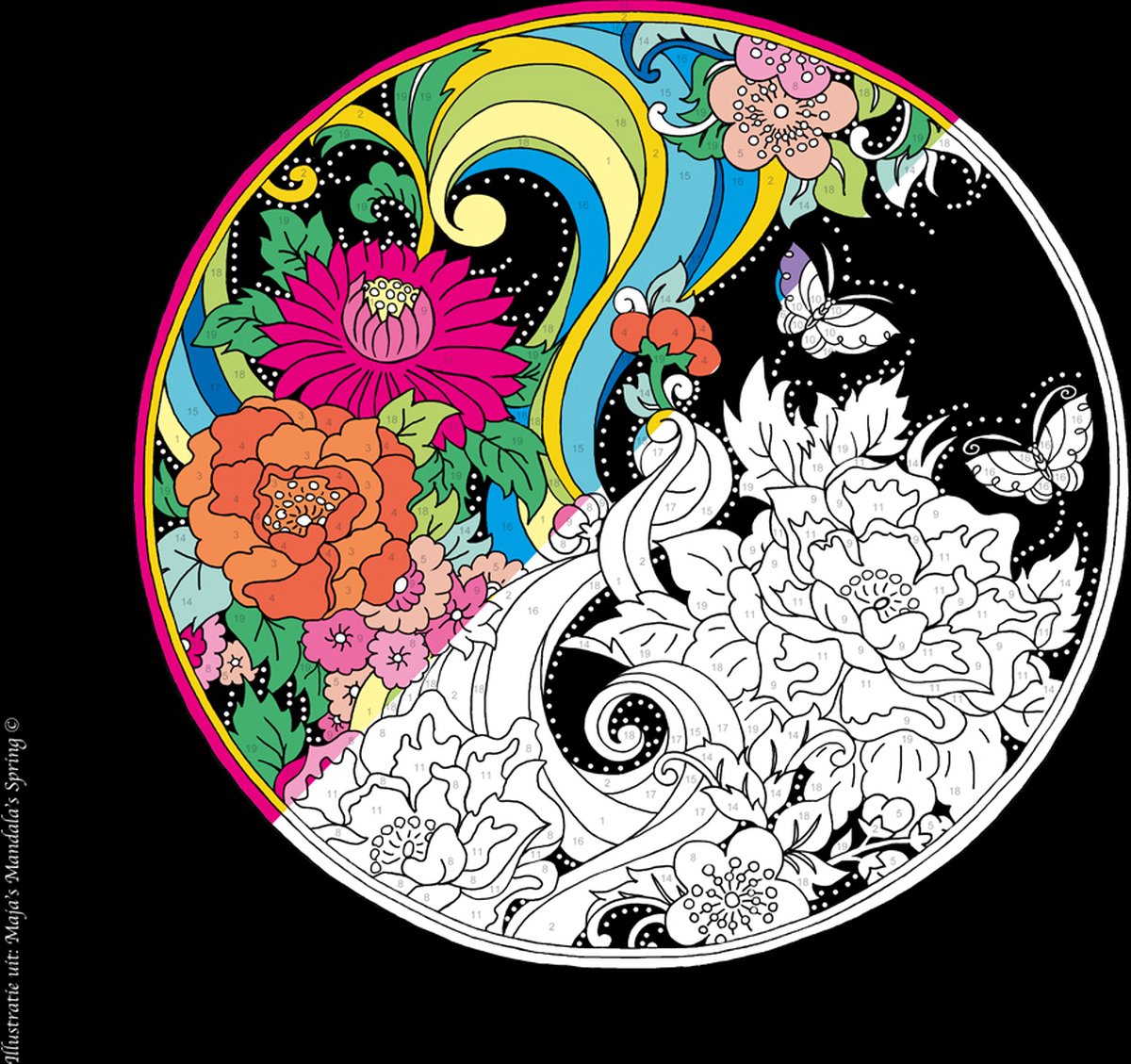 Masja van den Berg - Kleuren op nummer - Masja’s Mandala's - mandala - kleurboek voor volwassenen — afbeelding 2