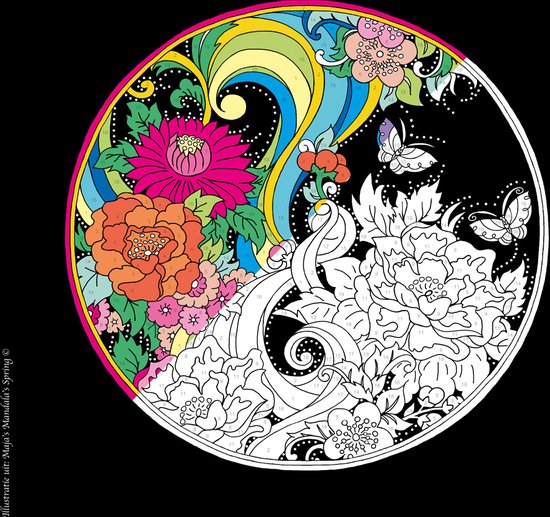 Masja van den Berg - Kleuren op nummer - Masja’s Mandala's - mandala - kleurboek voor volwassenen