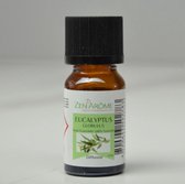 Essentiële olie Eucalyptus 10 ml - geurolie voor aroma diffuser - luchtverspreider - luchtvernevelaar - luchtverstuiver - luchtverfrisser - aroma