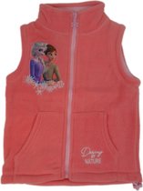 Disney Frozen kinder vest roze - Vest - Kinderen - Frozen 2 vest - Bodywarmer van pluche