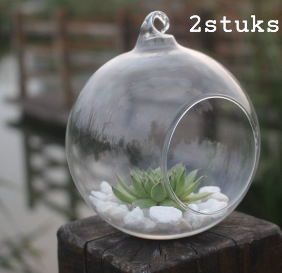 2stuks - Glazen bol- terrarium bol- ornament voor decoratie - hangend - doorzichtig