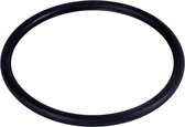 WorldPet rubber o-ring voor afsluitdop voor DS30M