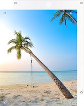 Tuinposter Palmboom aan Zee - Tuindecoratie - 100 x 125 cm - PosterGuru