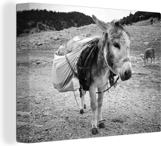 Tableau sur toile Âne avec sacs - noir et blanc - 120x90 cm - Décoration  murale