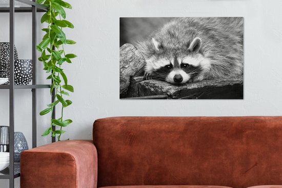 Tableau Peinture Raton Laveur Couché - noir et blanc - 90x60 cm - Décoration murale