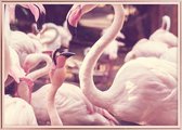 Poster Met Metaal Rose Lijst - Hart Flamingo Poster