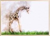 Poster Met Metaal Gouden Lijst - Giraffe Aquarel Poster