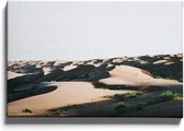Walljar - Begroeiing In De Woestijn - Muurdecoratie - Canvas schilderij