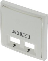 Q-LINK S2 Afdekplaat 2x USB RVS-kleur