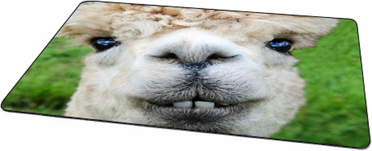 Gaming Muismat Alpaca Rubber - Hoge kwaliteit foto van een Alpaca | Muismat gedrukt op polyester - 27 x 36 x 0.2 cm - Antislip muismat - 2 mm dik - Muismat met foto - Heerlijk voor op je bureau