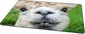 Gaming Muismat Alpaca Rubber - Hoge kwaliteit foto van een Alpaca | Muismat gedrukt op polyester - 27 x 36 x 0.2 cm - Antislip muismat - 2 mm dik - Muismat met foto - Heerlijk voor