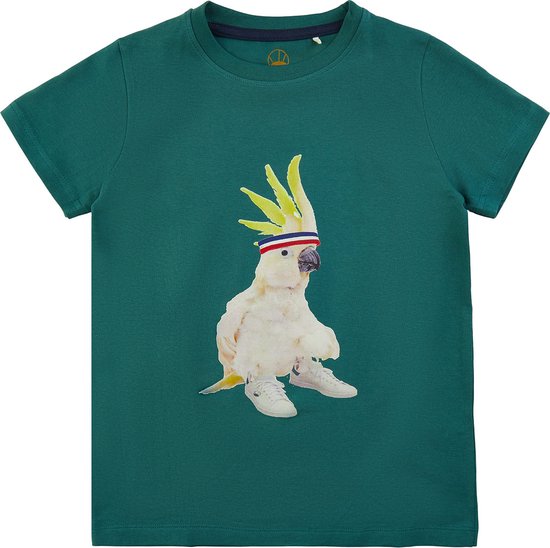 The New t-shirt jongens - groen - TNcockachoe TN4264 - maat 110/116